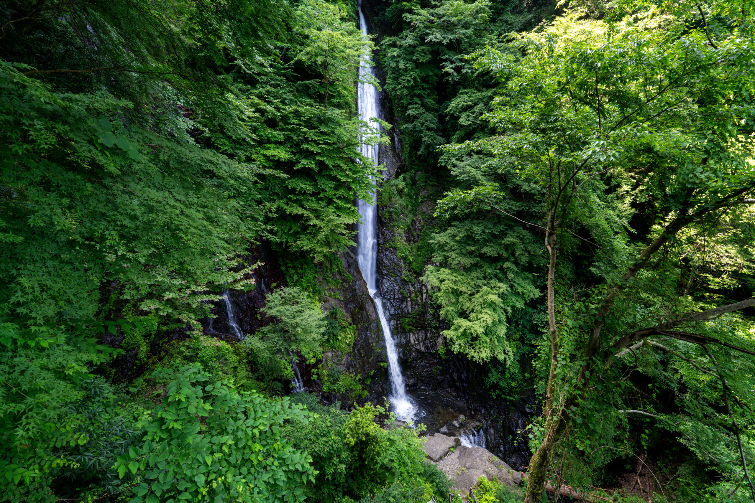 洒水の滝 — 日本の滝百選に選ばれた山北町の名瀑