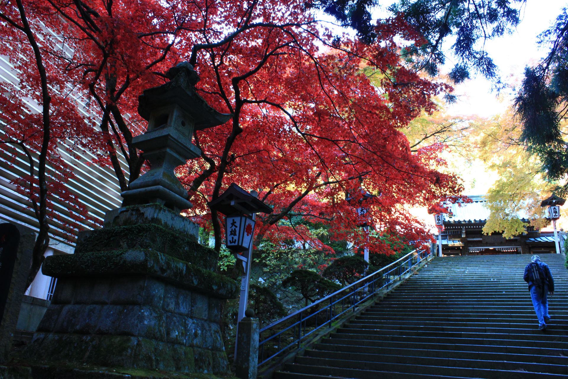 大雄山最乗寺の紅葉
