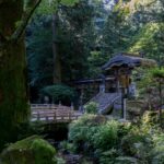 大雄山最乗寺の杉並木の参道