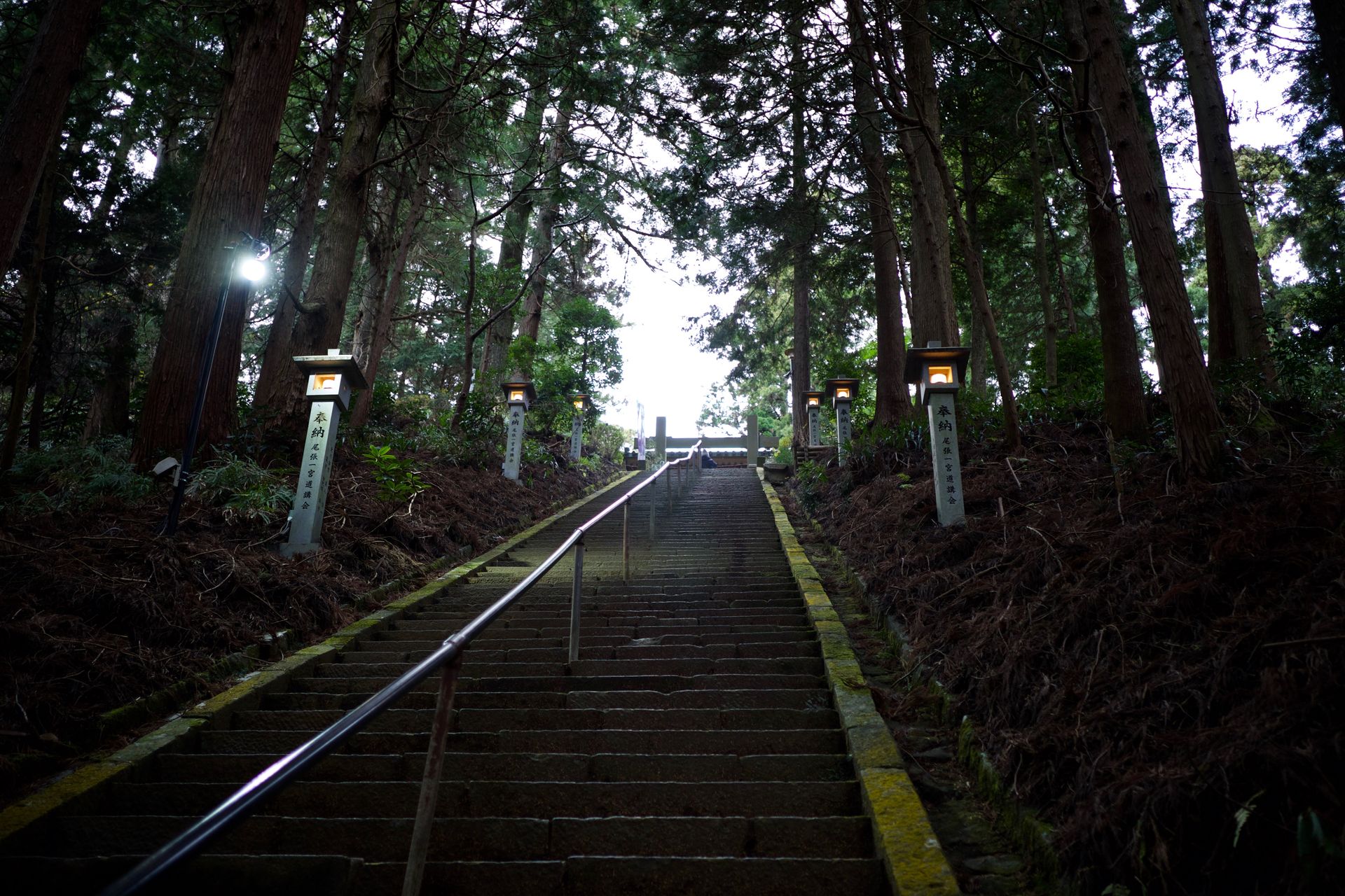 苔むした石段の参道