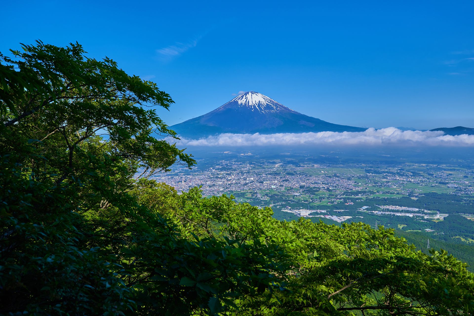 足柄峠からの富士山