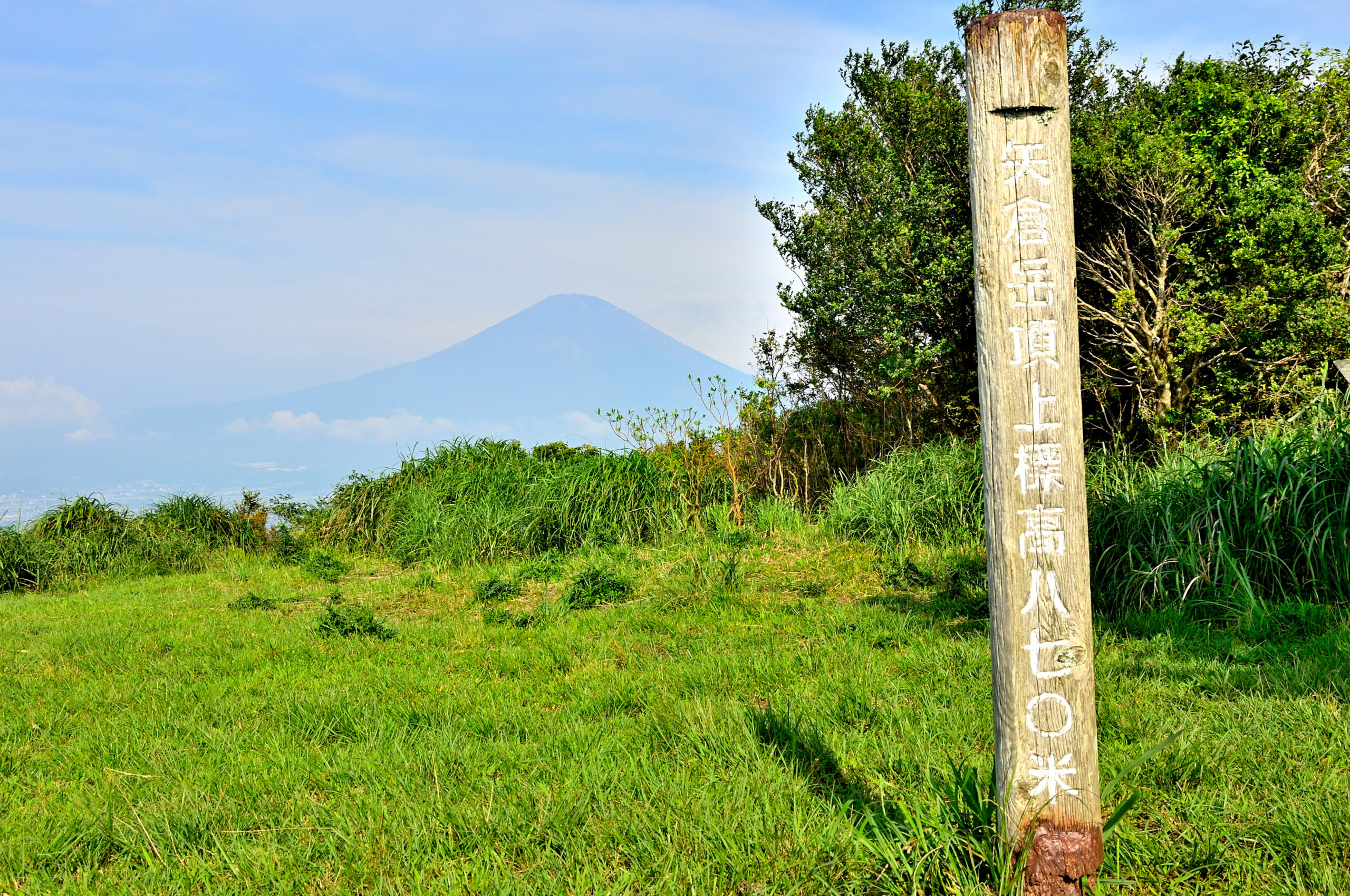 足柄エリアの山道 — ハイキング初心者が楽しめる自然豊かなトレイル