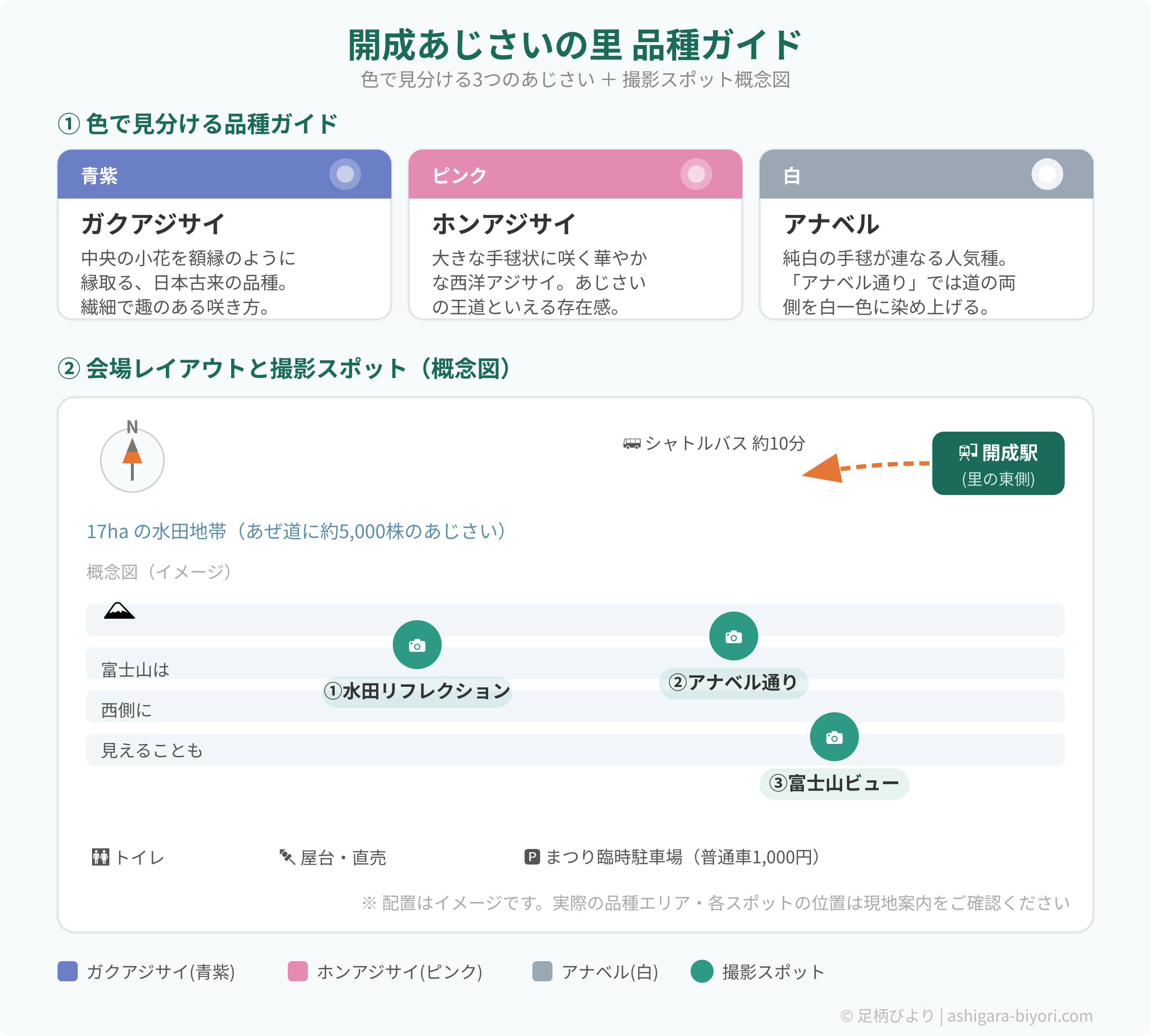 開成あじさいの里 品種別ガイドと会場概念図（ガクアジサイ・ホンアジサイ・アナベルの見分け方と撮影3スポット）