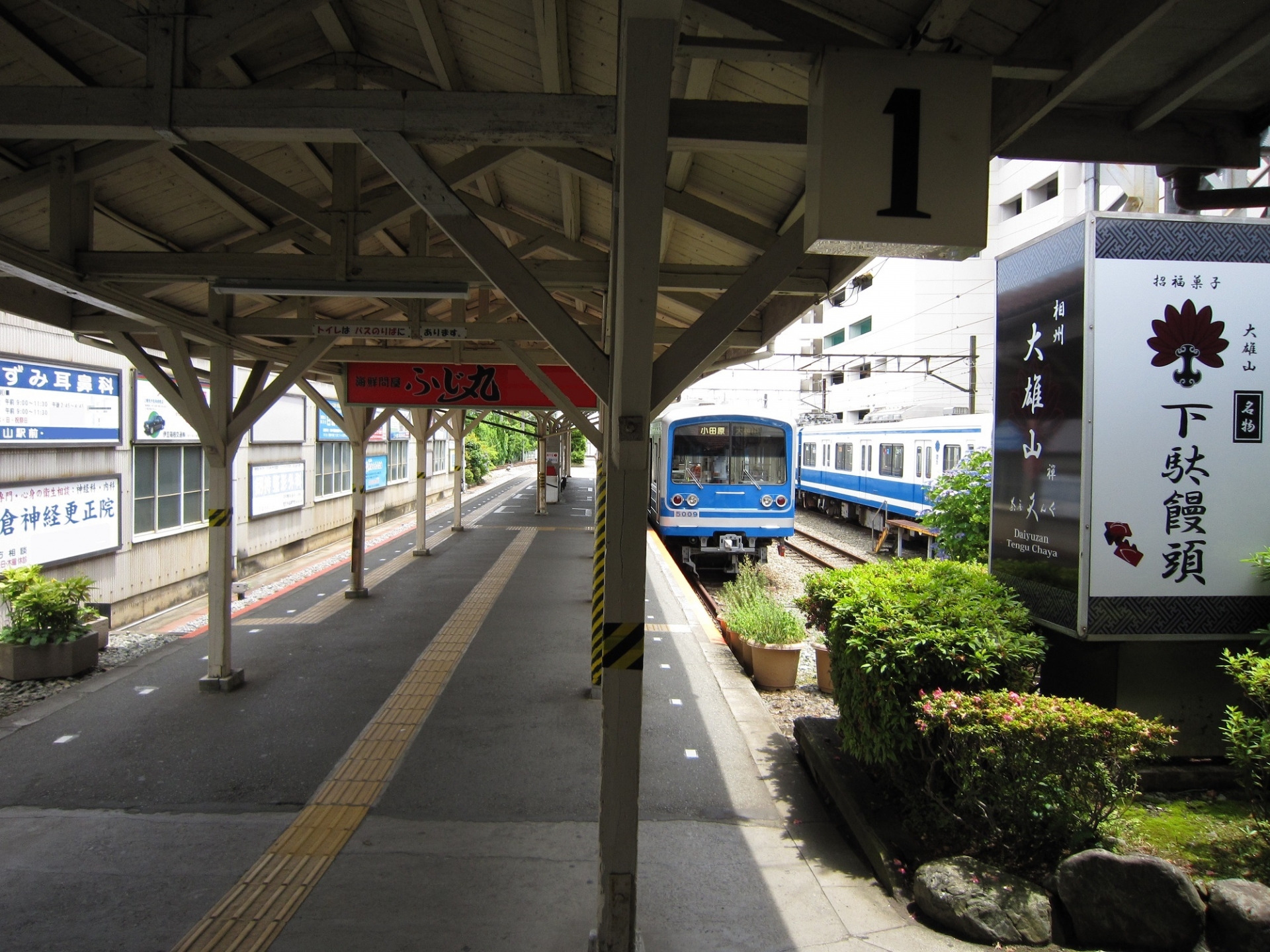 大雄山線の車両（緑色の車体）とホーム — 伊豆箱根鉄道大雄山線